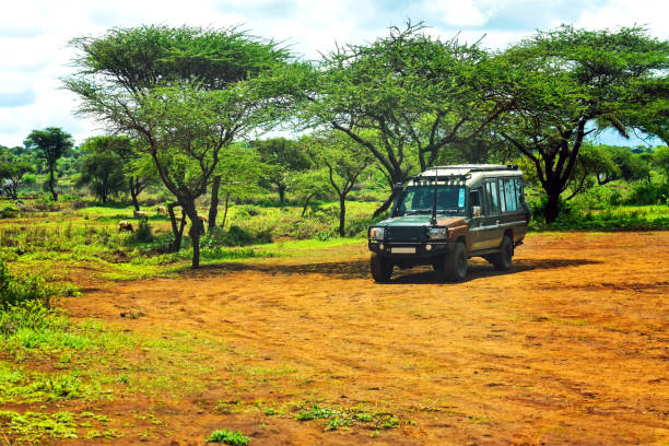 Guilt-Free Africa Safari
