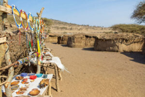 Africa Kenya and Tanzania safaris