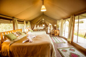 Luxury tent during safari