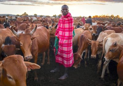 42 Kenya Tribes and Culture