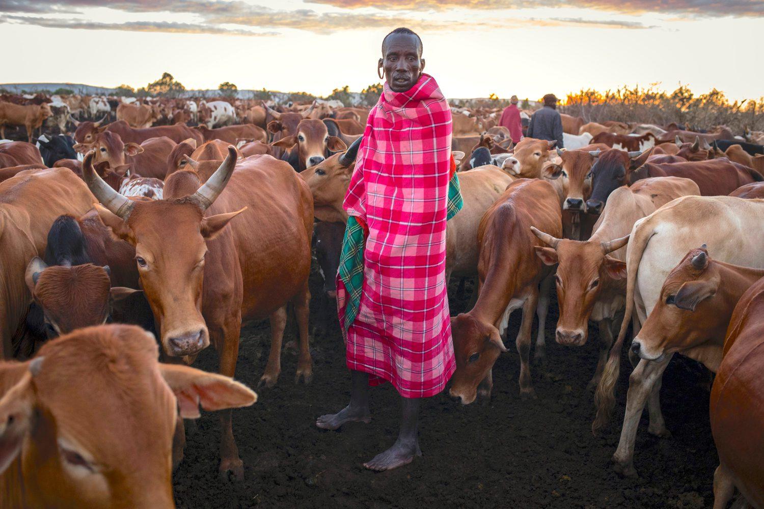 42 Kenya Tribes and Culture