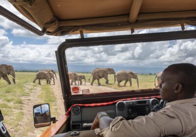 How to Plan a Kenya Safari
