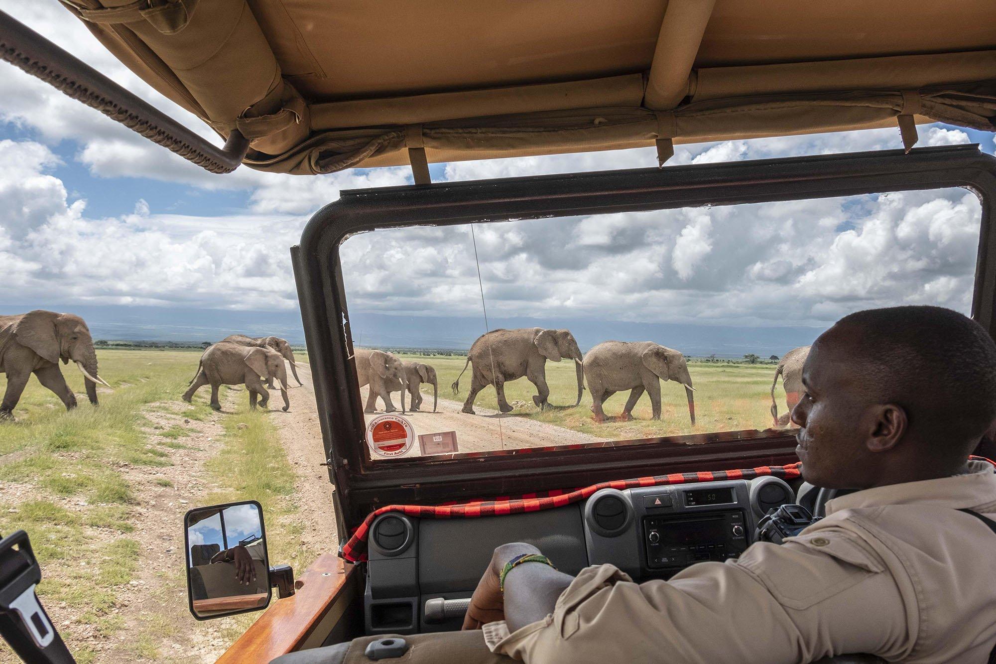 How to Plan a Kenya Safari
