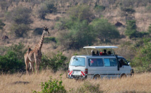 Kenya Beach and Safari Holiday