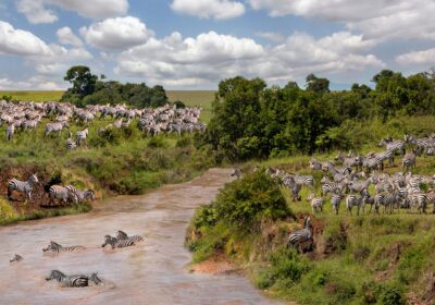 Kenya Safari