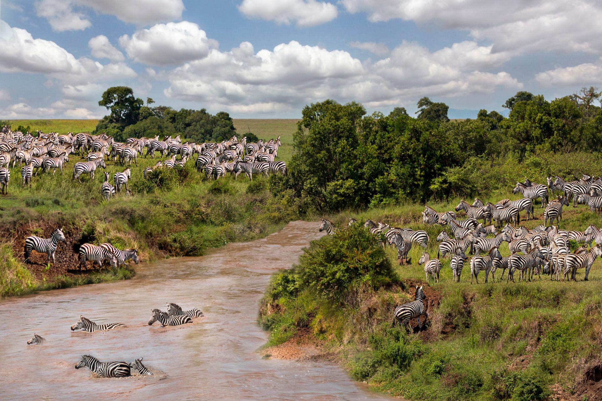 Kenya Safari