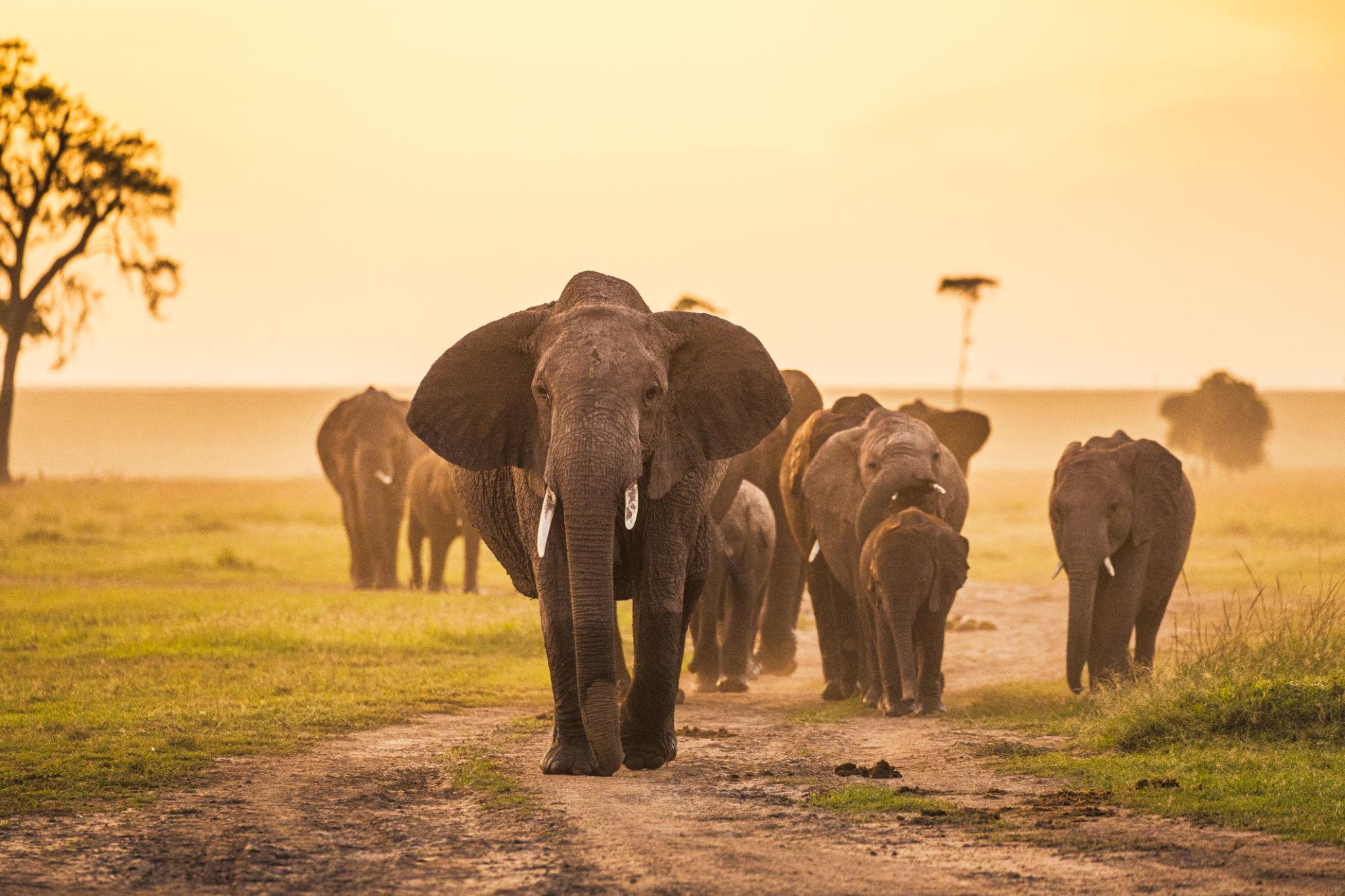 Kenya safari and tour itineraries