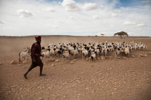 Tourist Attractions in Kenya