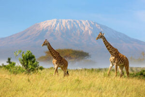 The 10 Best Kenya Safari and Tour Itineraries