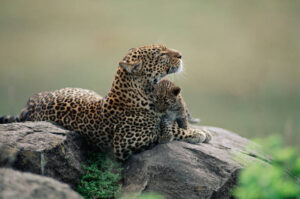 The 10 Best Kenya Safari and Tour Itineraries