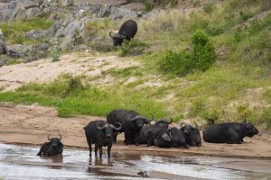 The 10 Best Kenya Safari and Tour Itineraries