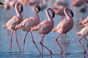 The 10 Best Kenya Safari and Tour Itineraries