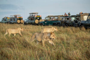 The 10 Best Kenya Safari and Tour Itineraries