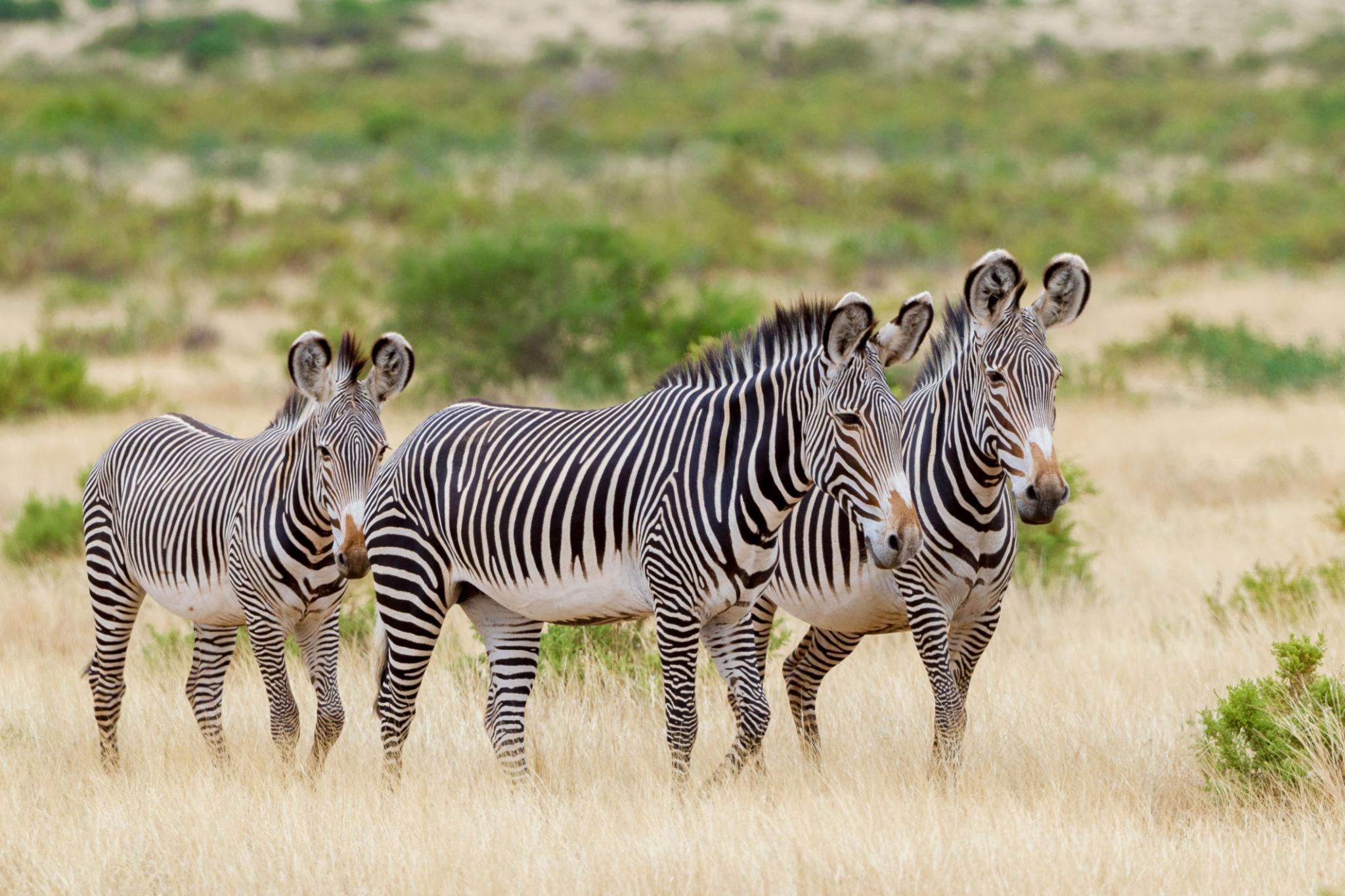 Tourist attractions in Kenya
