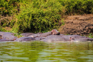 10 of the best Uganda safari and tour itineraries