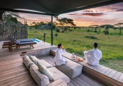 Africa safari holidays