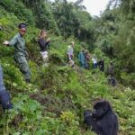 Rwanda Safari and Tour Itineraries