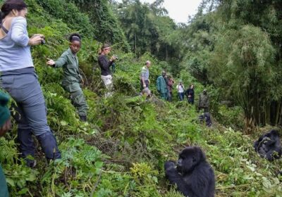 Rwanda Safari and Tour Itineraries