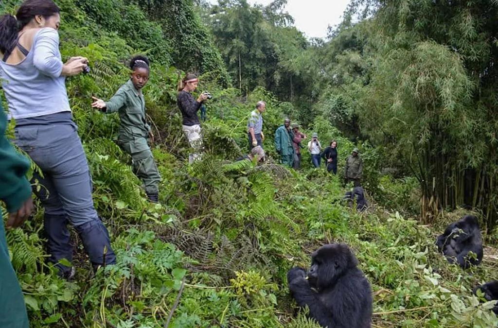 Rwanda Safari and Tour Itineraries
