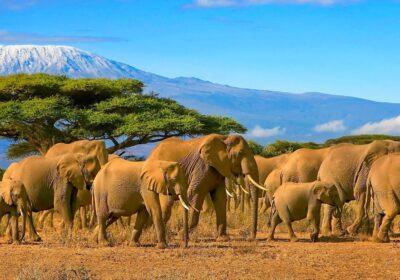 Tanzania safari and tour itineraries