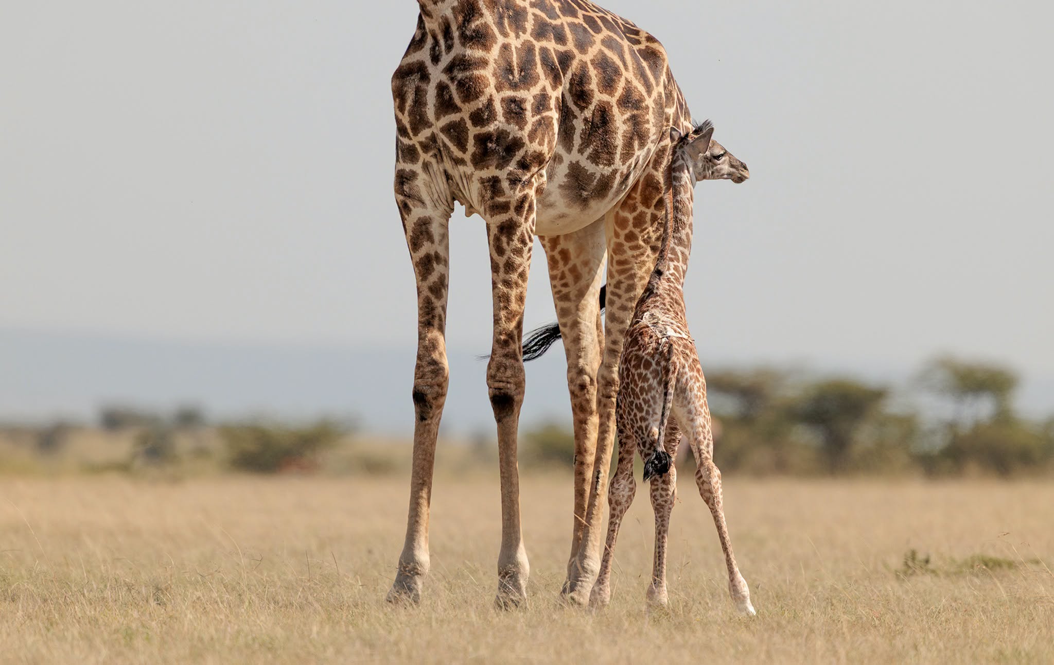 Best Tanzania Safari and Tour Itineraries