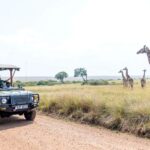 East Africa safari visa requirements