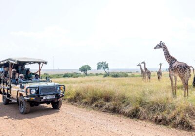 East Africa safari visa requirements